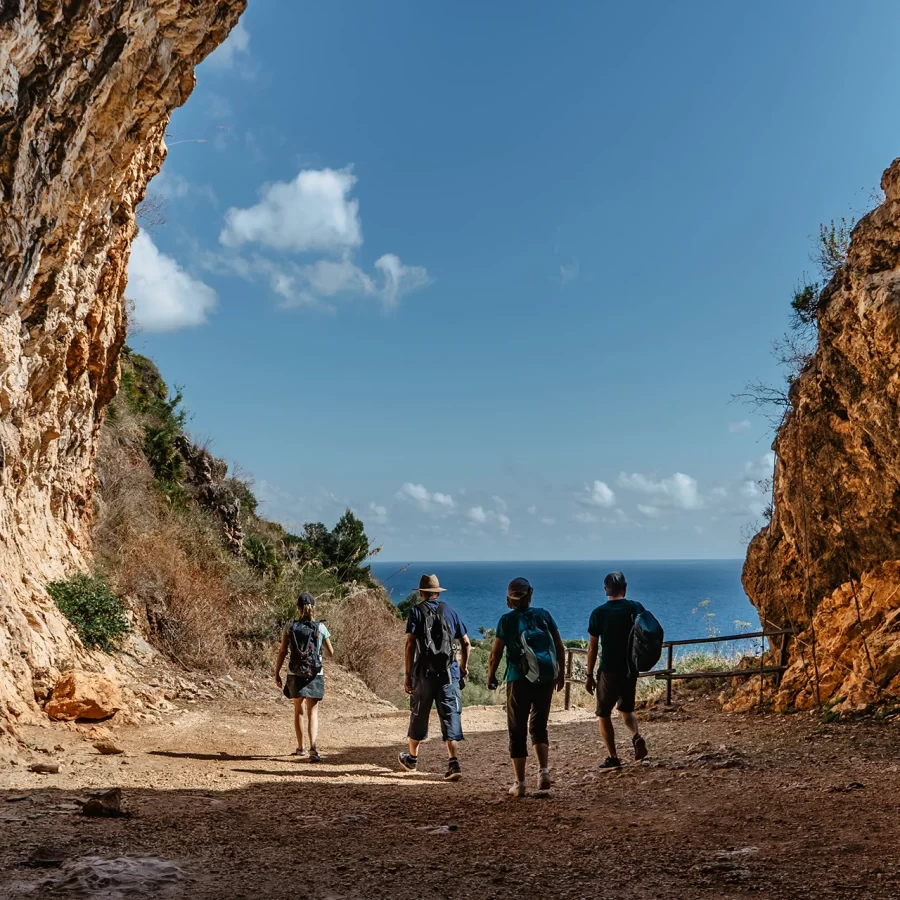 shutterstock_2019239099